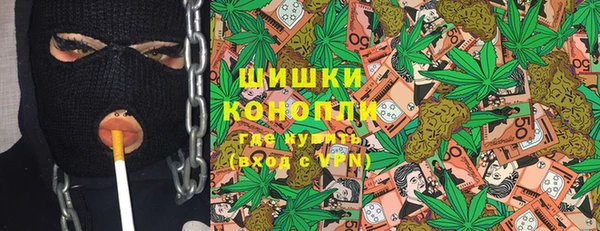 амф Гусиноозёрск