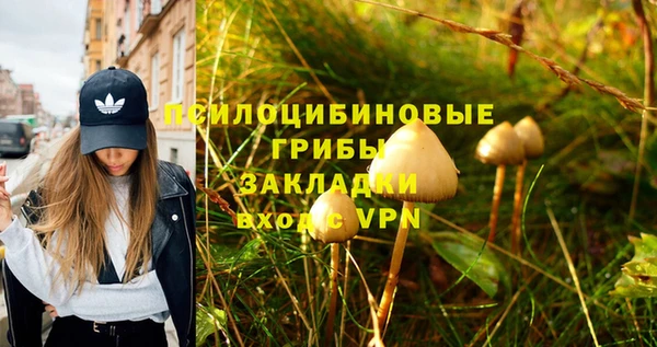 кокаин премиум Гусев