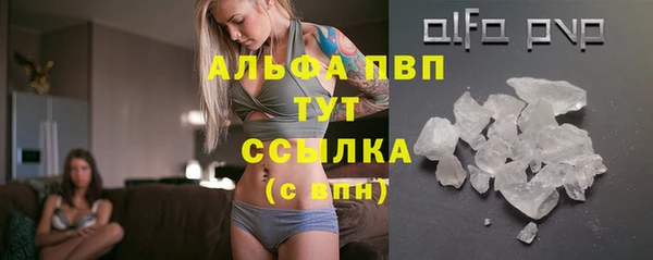 амф Гусиноозёрск