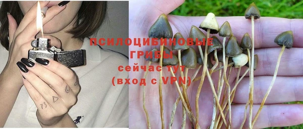 кокаин премиум Гусев