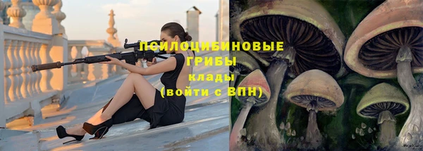герыч Гусь-Хрустальный
