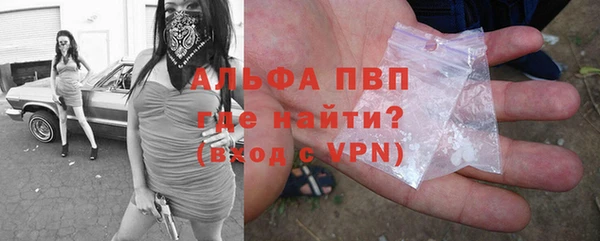 амф Гусиноозёрск