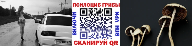 Псилоцибиновые грибы мицелий  Пятигорск 